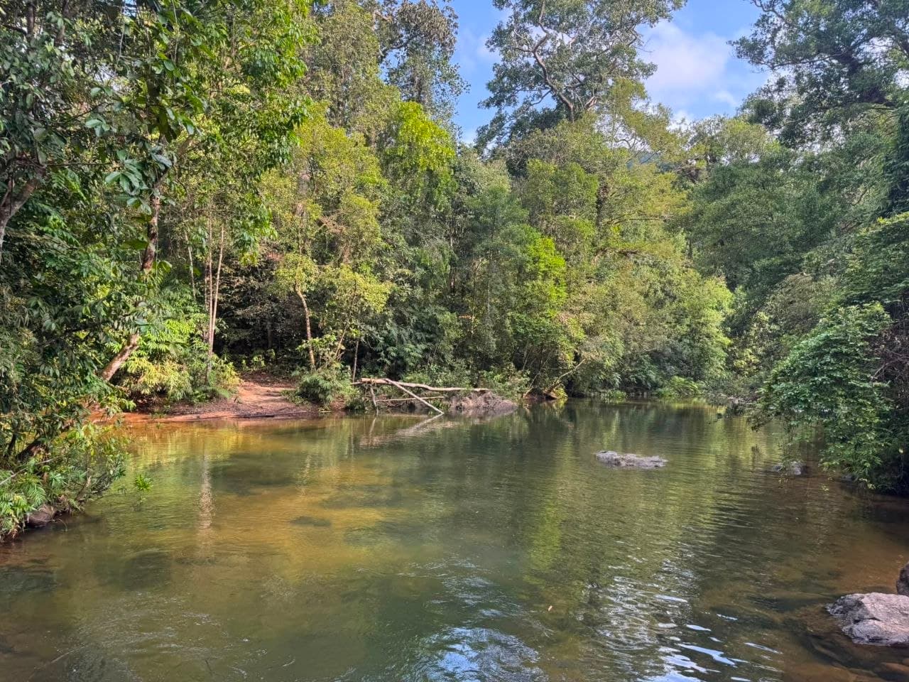 Calm River Bend Under Blue Sky